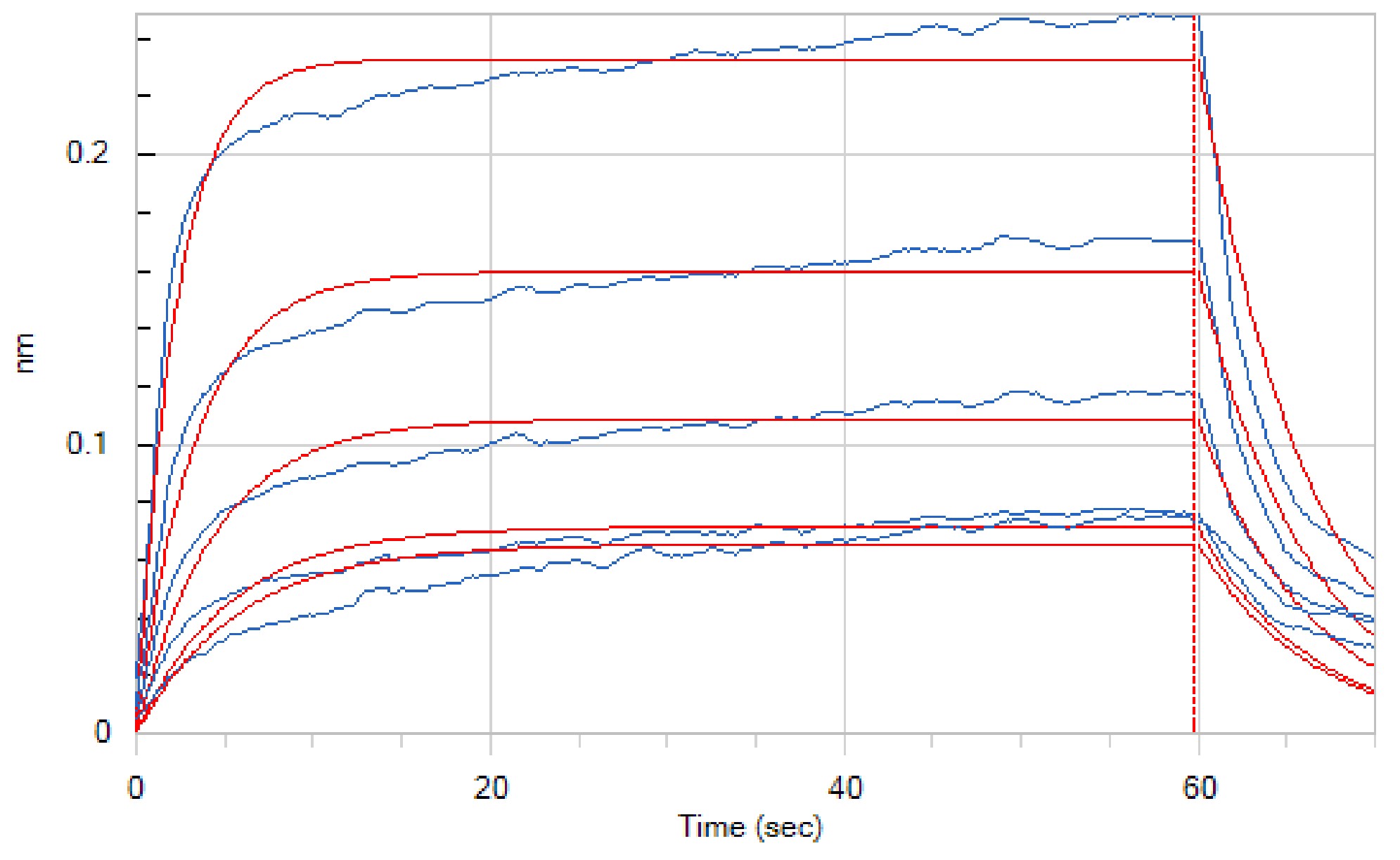 Human CD32a +BLI-2.jpg